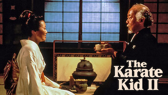 Karate Kid II – Entscheidung in Okinawa